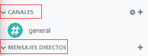 View of Discuss's panel emphasizing the titles channels and direct messages in Odoo Discuss.