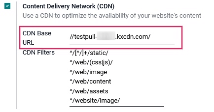 Activar el ajuste CDN en Odoo.