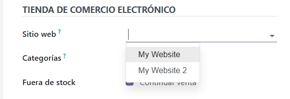 Campo de sitio web en un formulario de foro