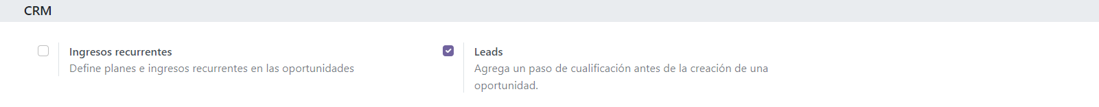 Ajustes de leads en la página de configuración de CRM.