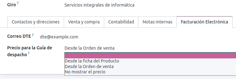 Datos de una factura electrónica para Chile.