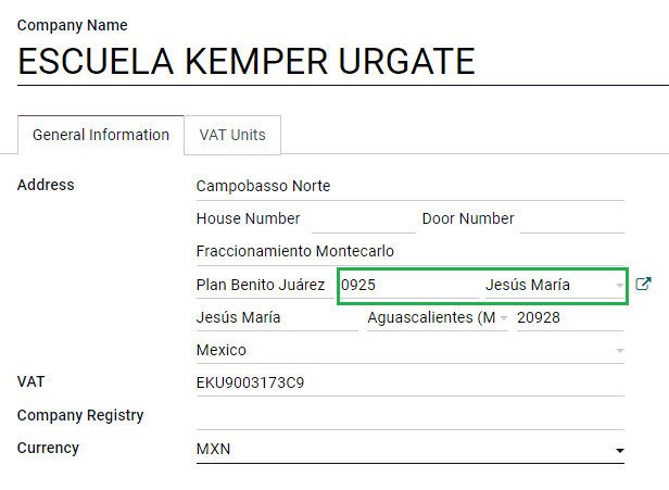 Campos opcionales de comercio exterior para la empresa.