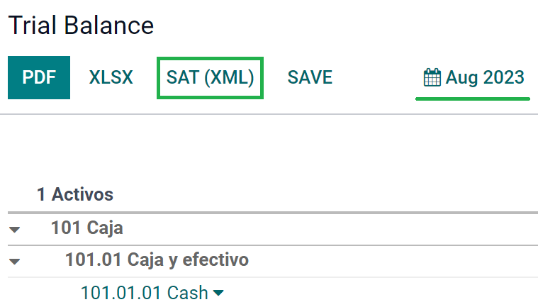 Informe de Balance de Sumas y Saldos.