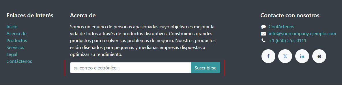 Vista de un bloque dinámico de boletín en un Sitio web de Odoo.